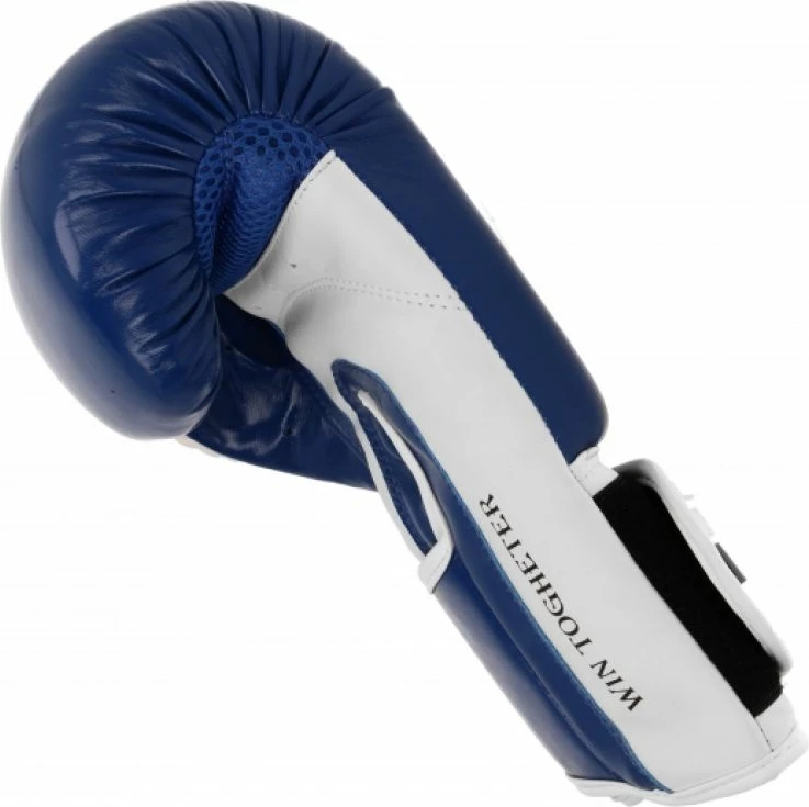 Doreza boksi për meshkuj Masters, blu dhe të kuqe