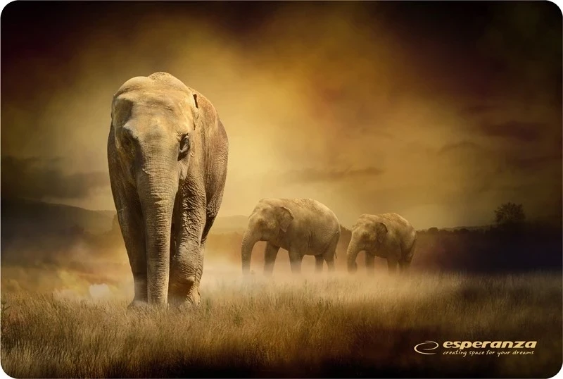 Mauspad Esperanza EA133