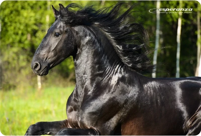 Mauspad Esperanza EA133