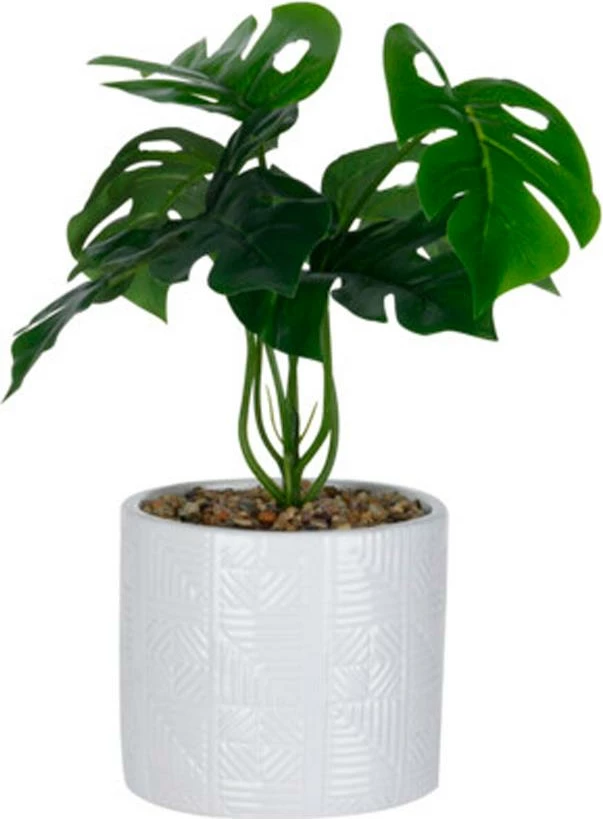 Bimë artificiale KOOPMAN në vazo qeramike të bardhë Ø11x10cm