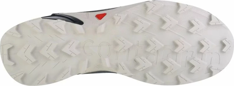 Atlete për vrapim për meshkuj Salomon Alphacross 4 GTX, gri