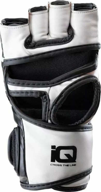 Doreza për arte marciale IQ, për meshkuj dhe femra, të bardha dhe të zeza