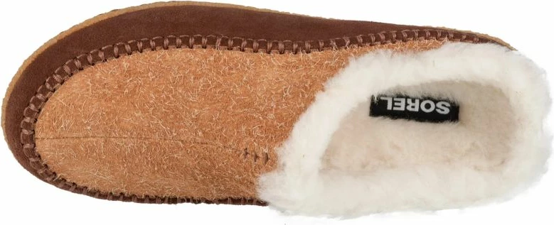 Papuqe femra Sorel, kafe