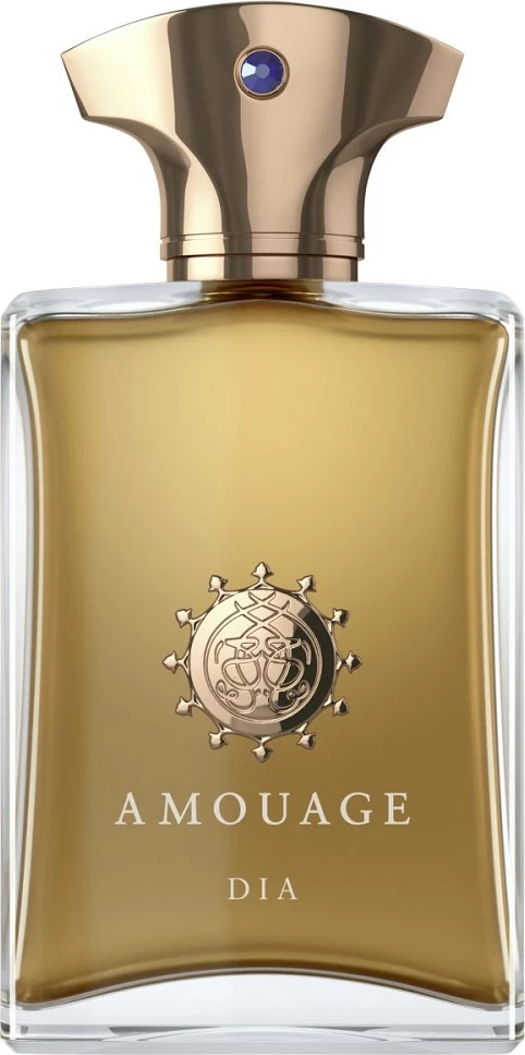 Parfum për meshkuj Amouage Dia Man 100ml
