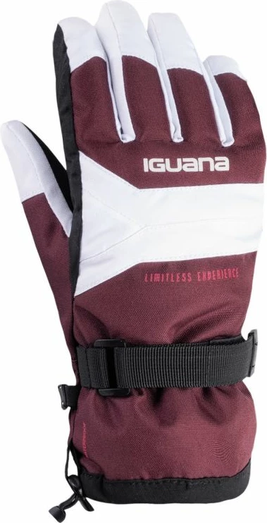 Doreza për femra Iguana, të zeza dhe të kuqe