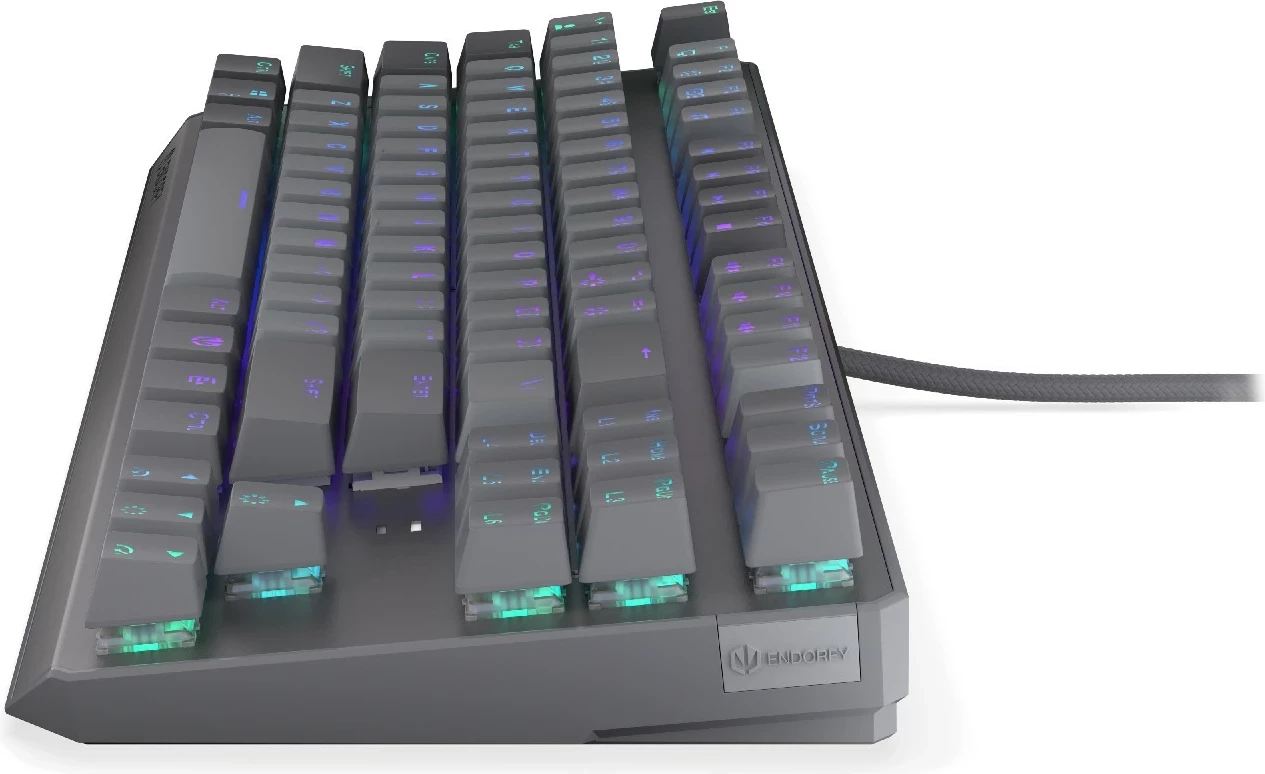 Tastierë mekanike Endorfy Thock V2 TKL, RGB, 80%, Hot-Swap, USB-C, gri