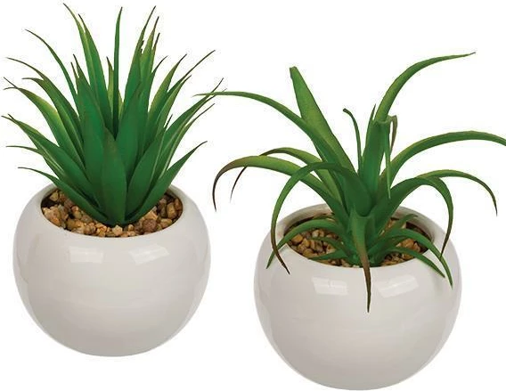 Sukulentë artificialë OUT OF THE BLUE në vazo qeramike, 2 dizajne