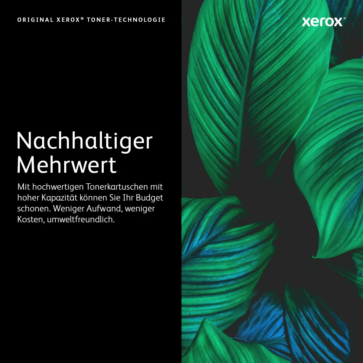 Toner Xerox 006R04359, për Xerox C310, yellow, deri 2000 faqe