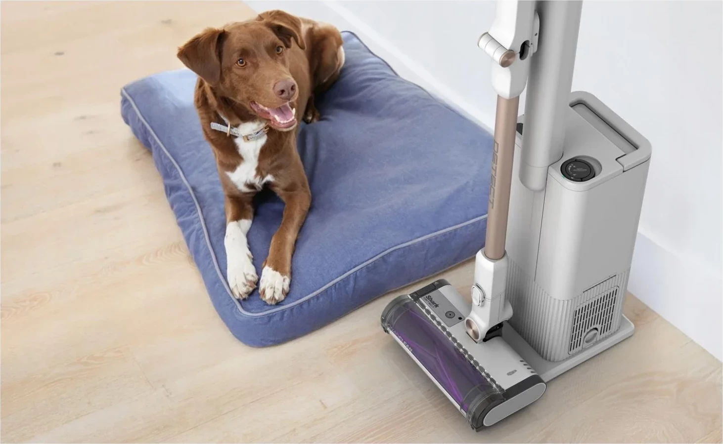 Fshesë Shark IW3612EU, e artë