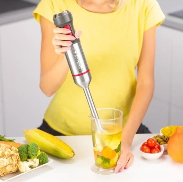 Blender dore Zelmer, argjendtë