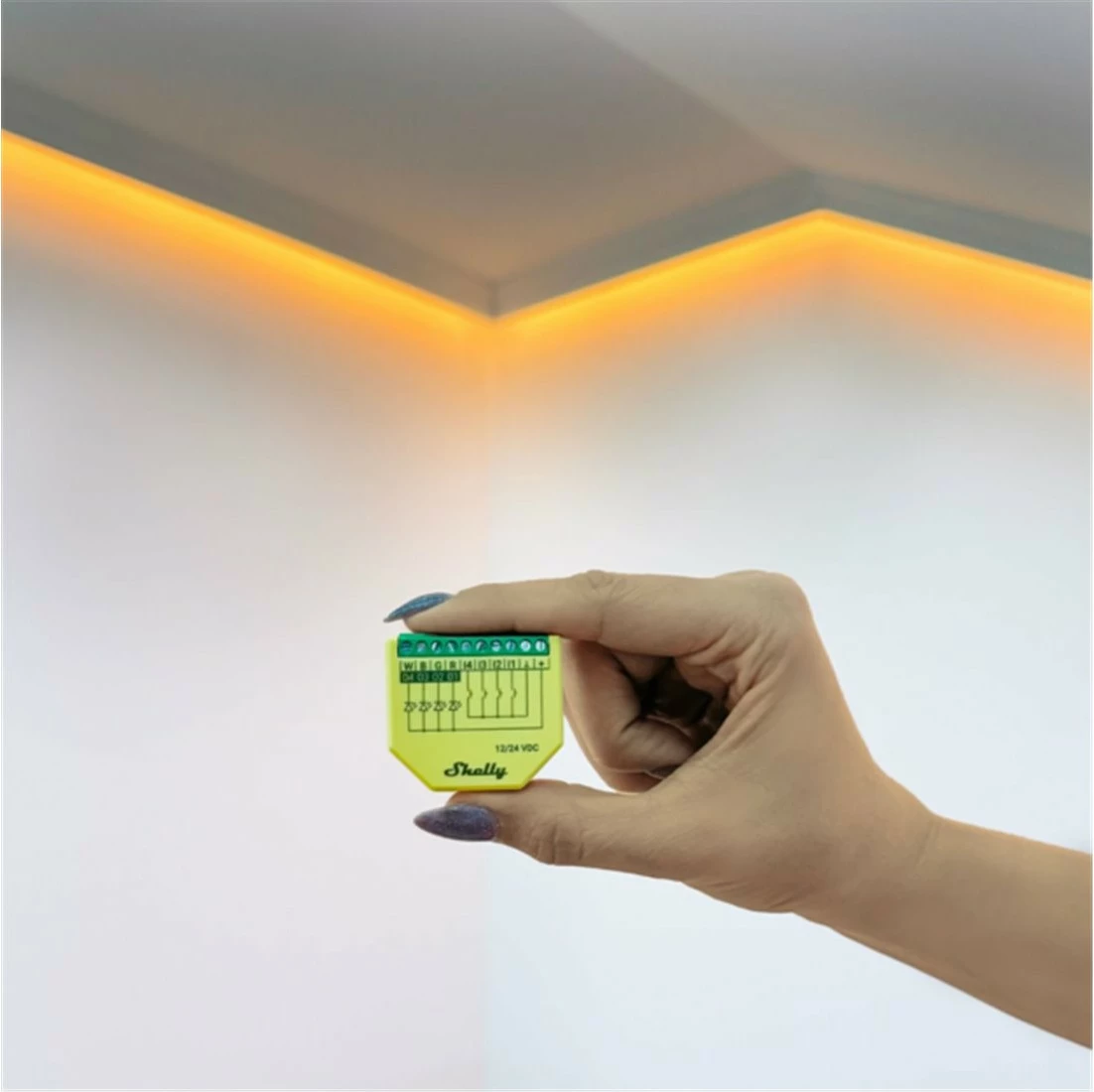 Kontroller RGBW Shelly Plus, Wireless, Wi-Fi, 4 kanale, Gjelbër, Verdhë