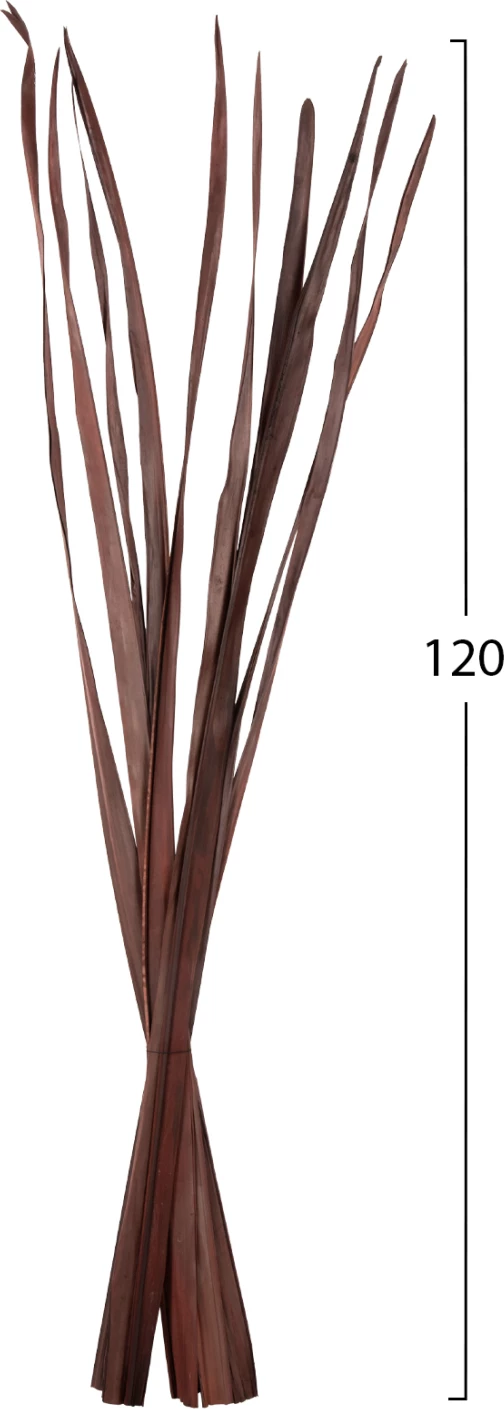 Buqetë dekorative me gjethe të thata shpate FH7965 10PCS kafe 120Hcm