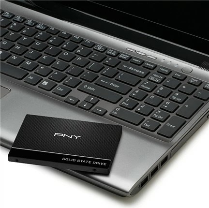 Disk SSD PNY CS900 250GB, 2.5 inch, SATA-III
