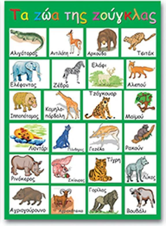 Poster edukativ NEXT "Kafshët e Xhunglës",  50x70cm