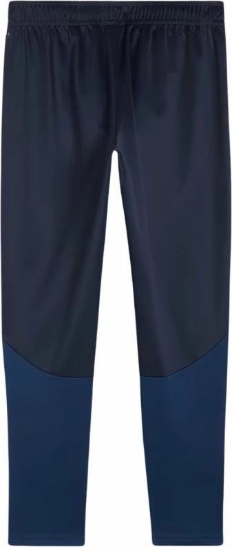 Pantallona sportive për meshkuj Puma, të kaltra