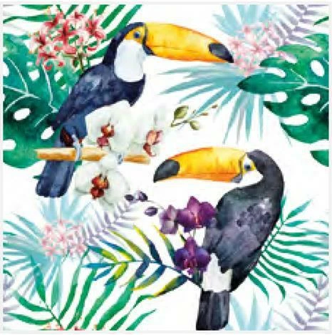 Peceta NEXT 20 copë "Toucan" 33x33cm