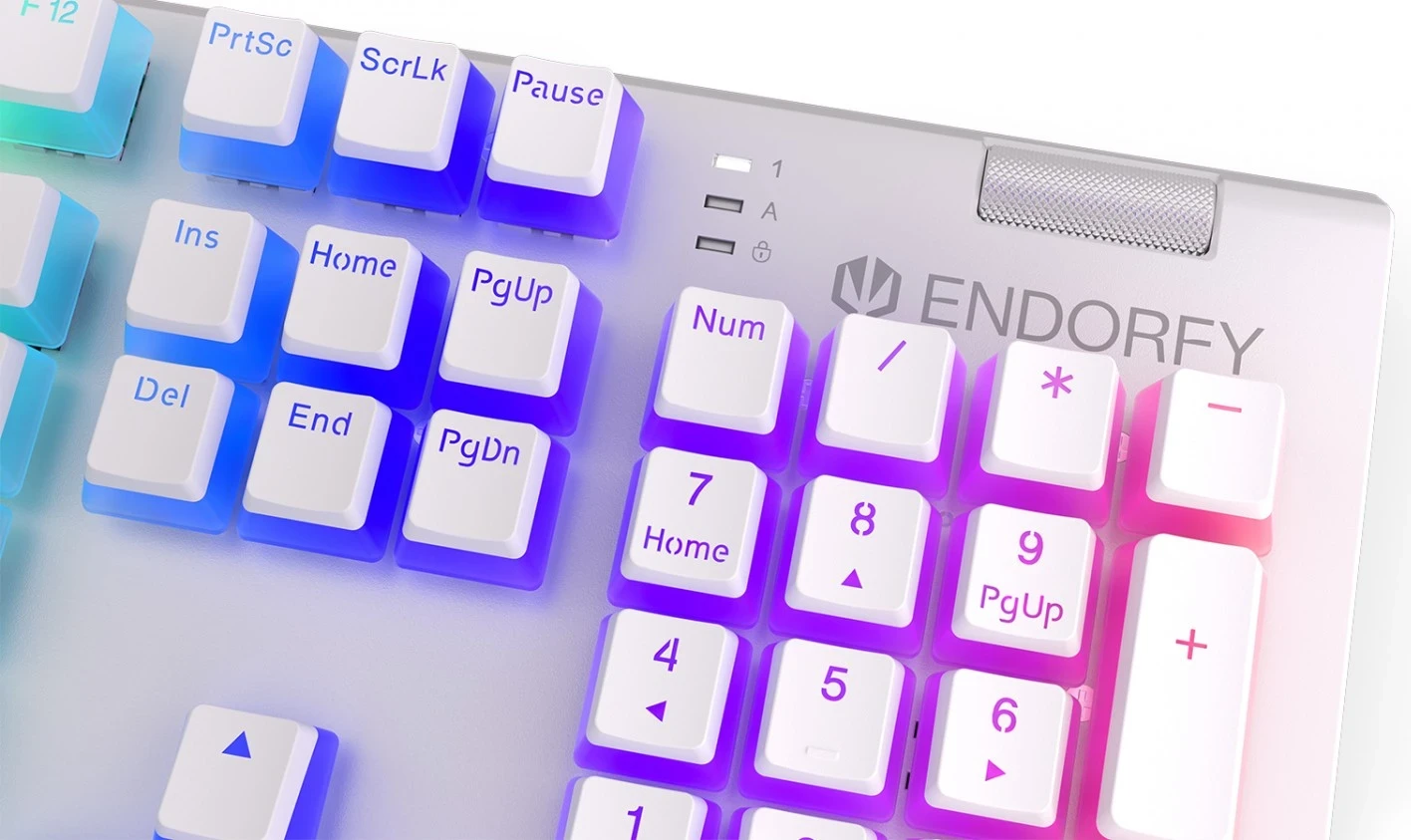 Tastierë për lojtarë Endorfy, e bardhë