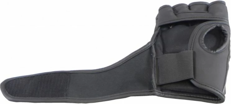 Doreza për MMA Masters, të zeza