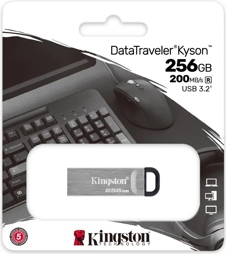 USB Kingston DataTraveler Kyson, 256GB, argjendtë-zezë