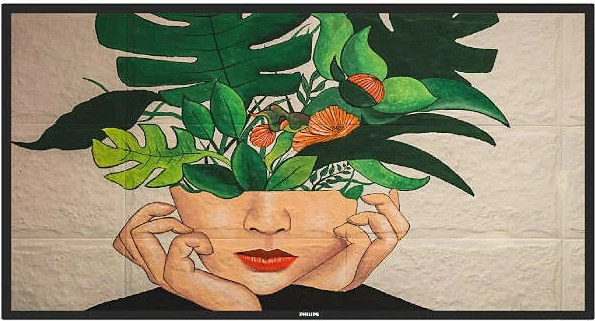 Ekran i madh Philips D-Line 50BDL4511D, 50 inç, UHD, 24/7, i zi