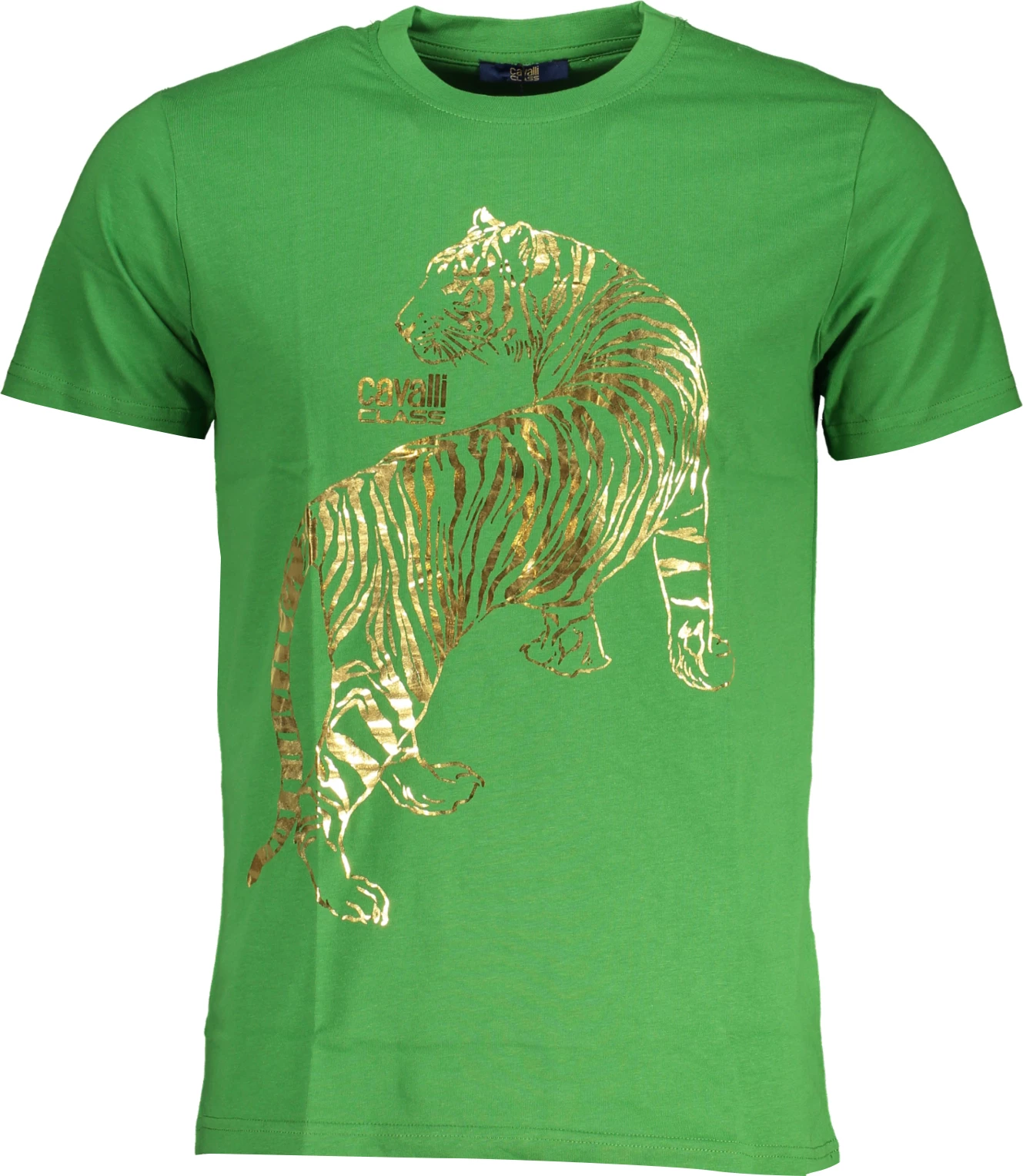 Maicë për meshkuj CAVALLI CLASS, e gjelbër