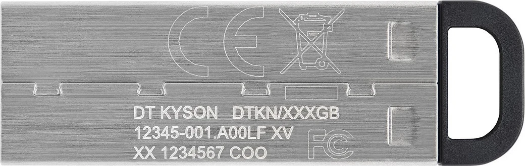 USB Kingston DataTraveler Kyson, 256GB, argjendtë-zezë