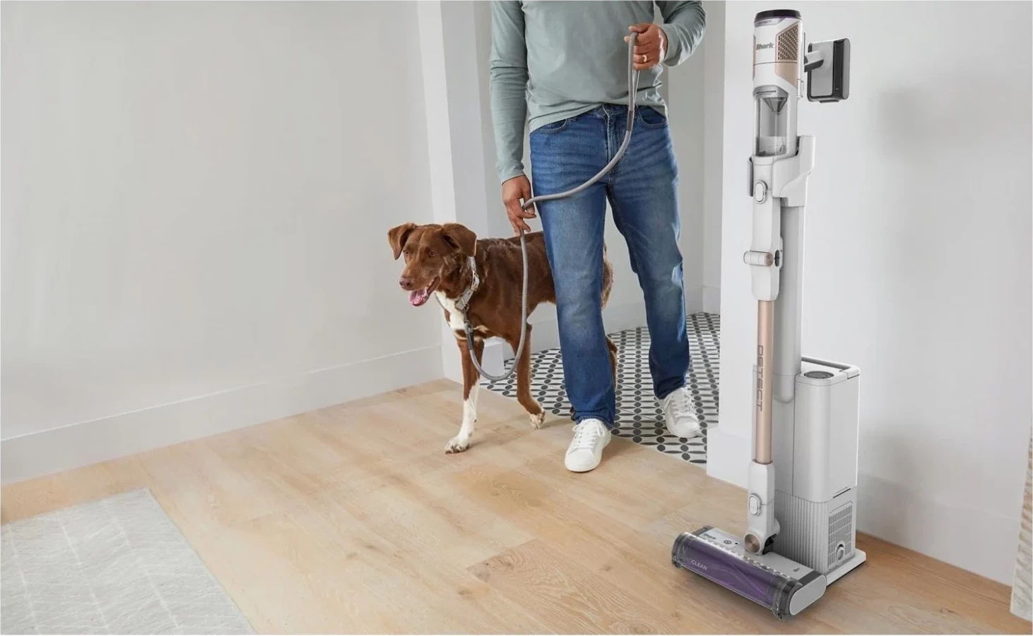 Fshesë Shark IW3612EU, e artë