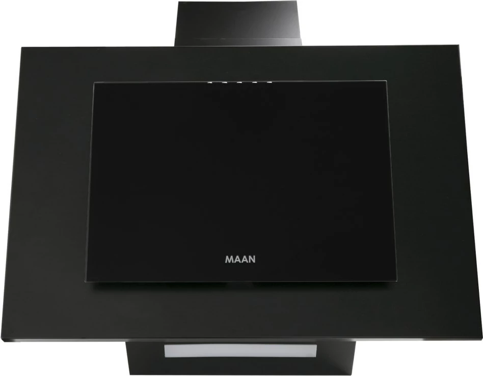 Aspirator MAAN Vertical P 2,  310 m3/h, i zi 