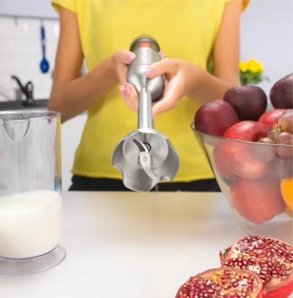 Blender dore Zelmer, argjendtë