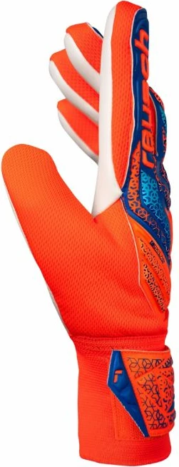 Dorëza portieri Reusch për meshkuj, blu dhe portokalli