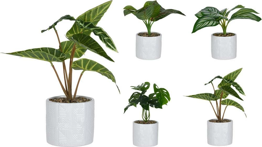 Bimë artificiale KOOPMAN në vazo qeramike të bardhë Ø11x10cm