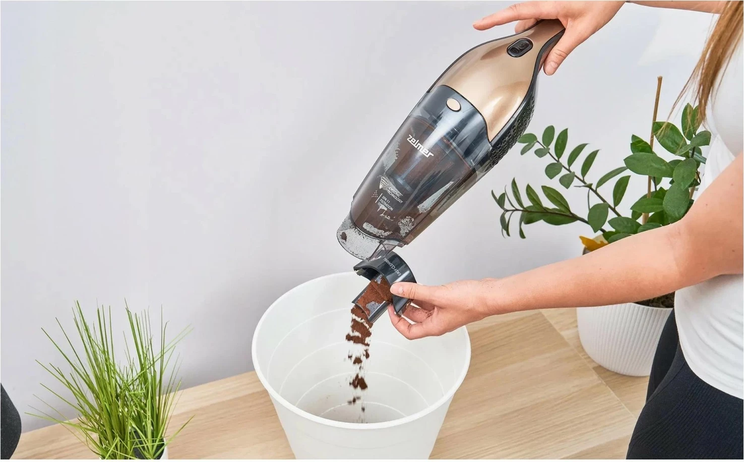 Fshesë elektrike Zelmer ZSVC422, 22V, e artë