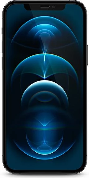 Xham i fortë Guess GUSPP12LSLTR për iPhone 12 Pro Max 6.7", Vintage Magic Logo, Transparent/zi