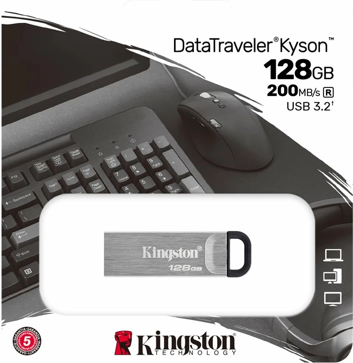 USB Kingston DataTraveler Kyson 128GB, USB 3.2, Argjendtë