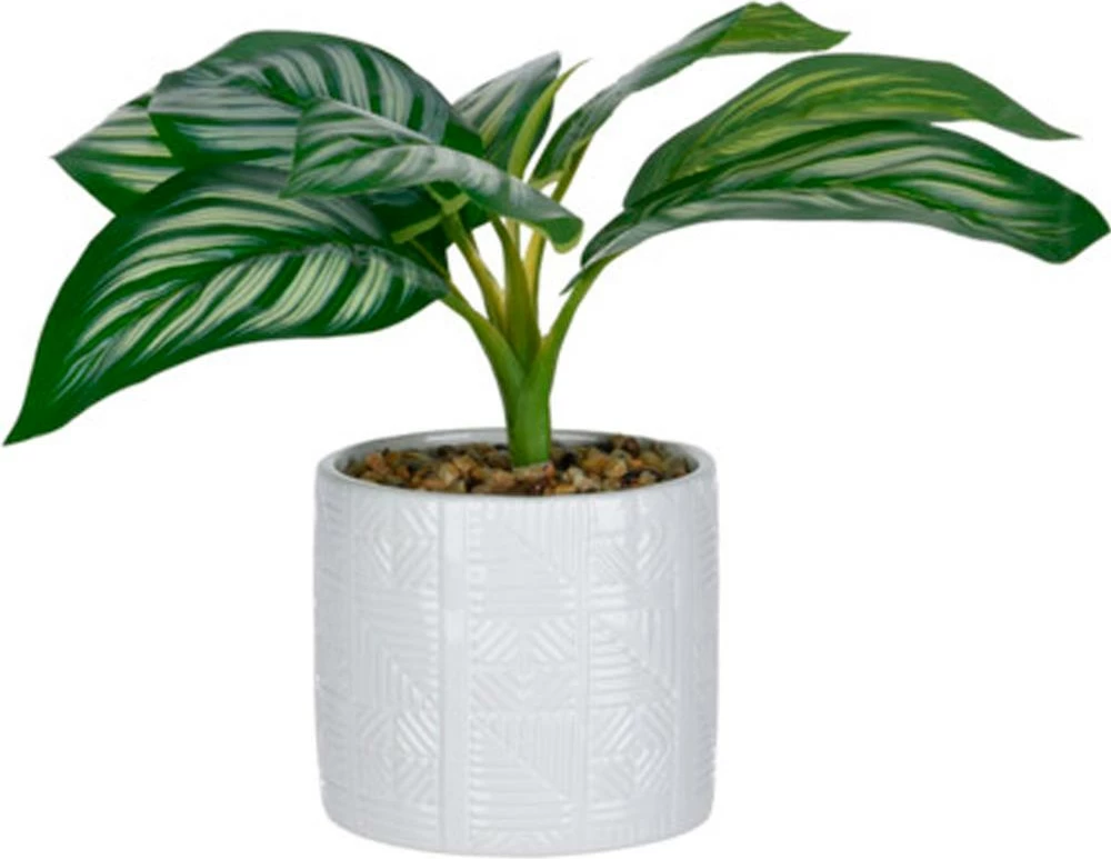 Bimë artificiale KOOPMAN në vazo qeramike të bardhë Ø11x10cm