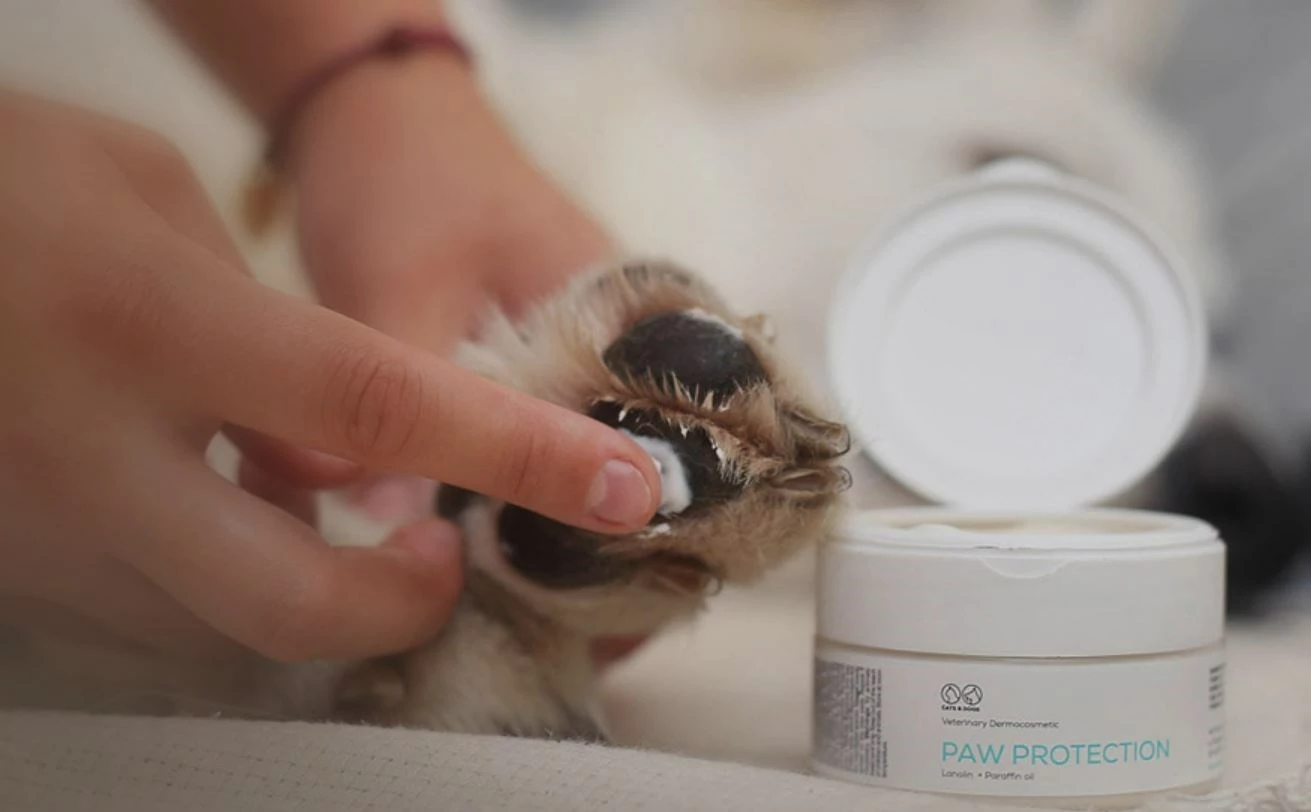 Pomadë mbrojtëse VetExpert Paw Protection për putrat e qenve dhe maceve, 75 ml