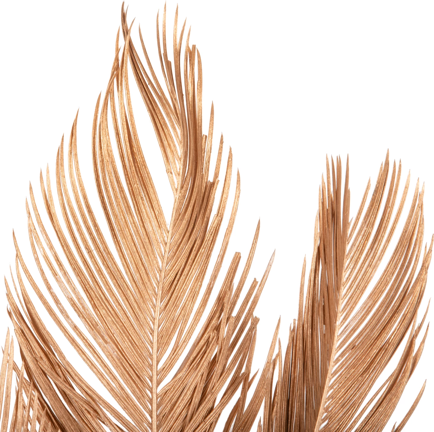 Set dekorativ me 3 gjethe të thara palme, ngjyrë ari, FH7958, 110H cm