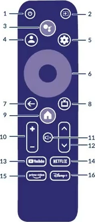 Google TV Box TechniSat Strong Leap S3, 4K Ultra HD, Android 11, i zi