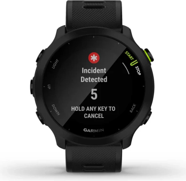 Smartwatch Garmin Forerunner® 55 – Black