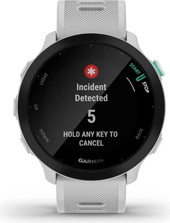 Smartwatch Garmin Forerunner® 55 – White