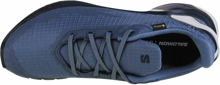 Atlete për vrapim për meshkuj Salomon Alphacross 4 GTX, gri