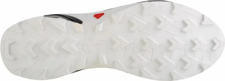 Atlete për meshkuj Salomon, blu