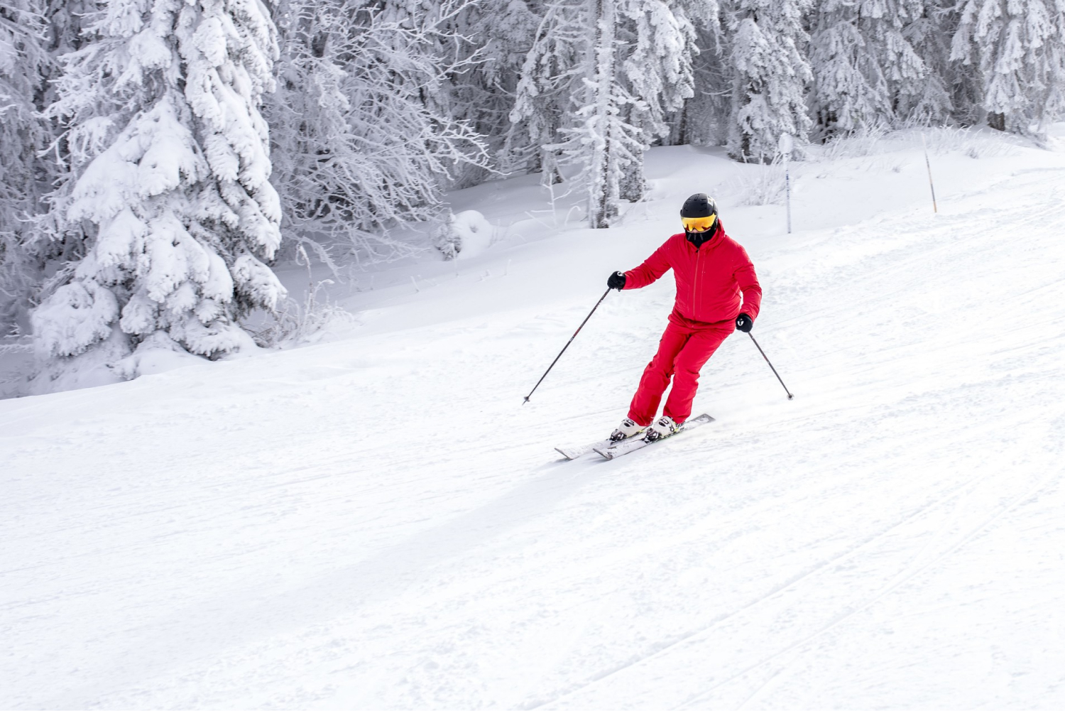 skiing skiing