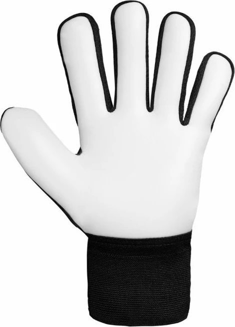 Dorëza portieri për fëmijë Reusch, të bardha