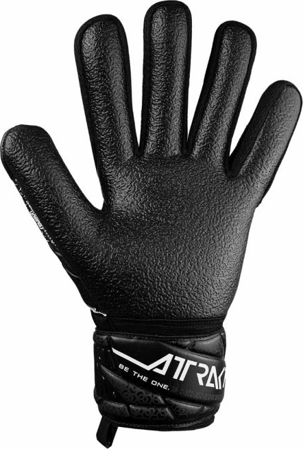 Dorëza portieri Reusch, të zeza