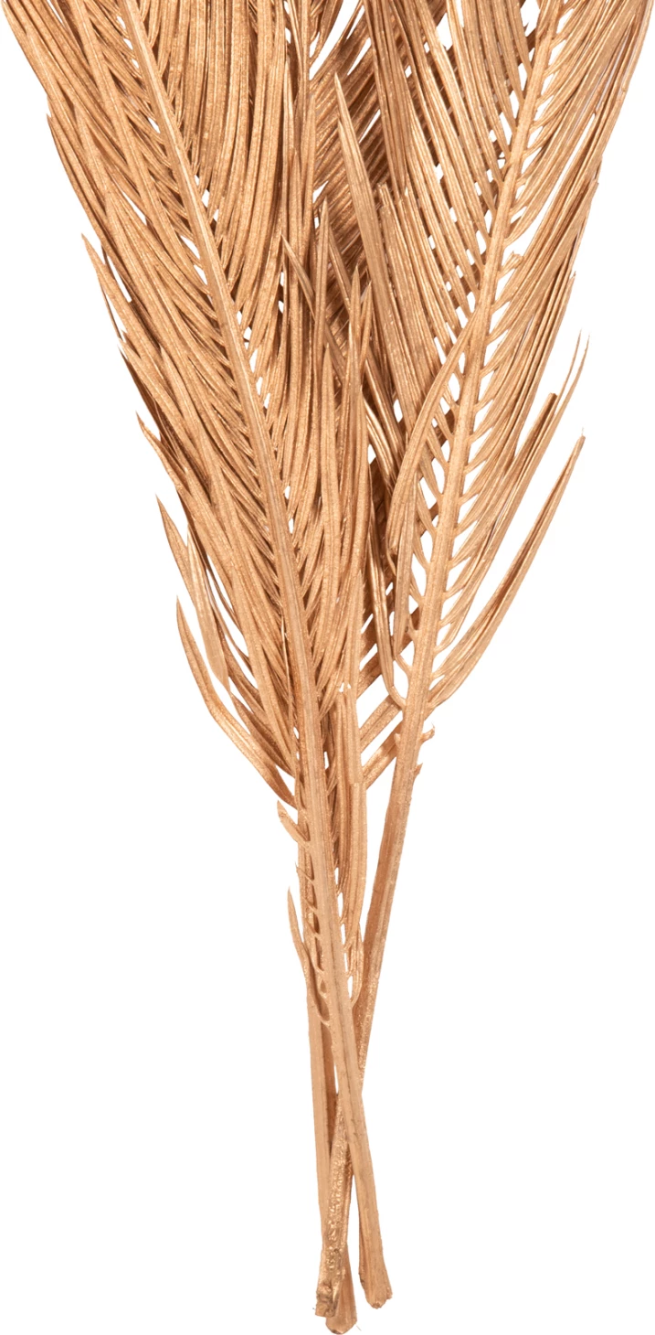Set dekorativ me 3 gjethe të thara palme, ngjyrë ari, FH7958, 110H cm