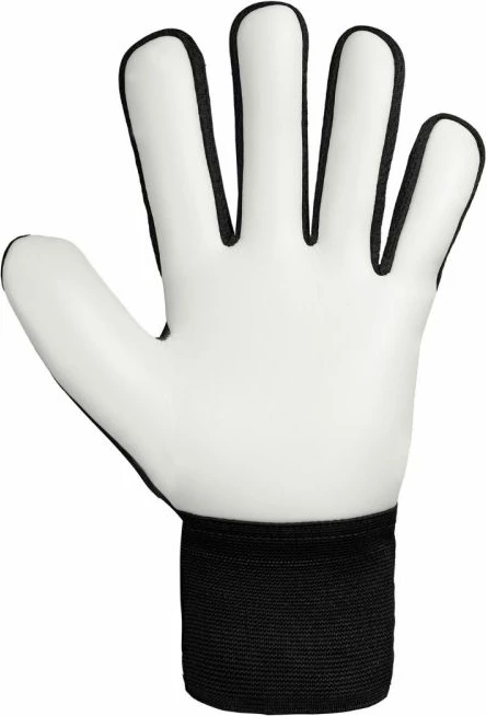 Dorëza portieri për meshkuj Reusch, të zeza