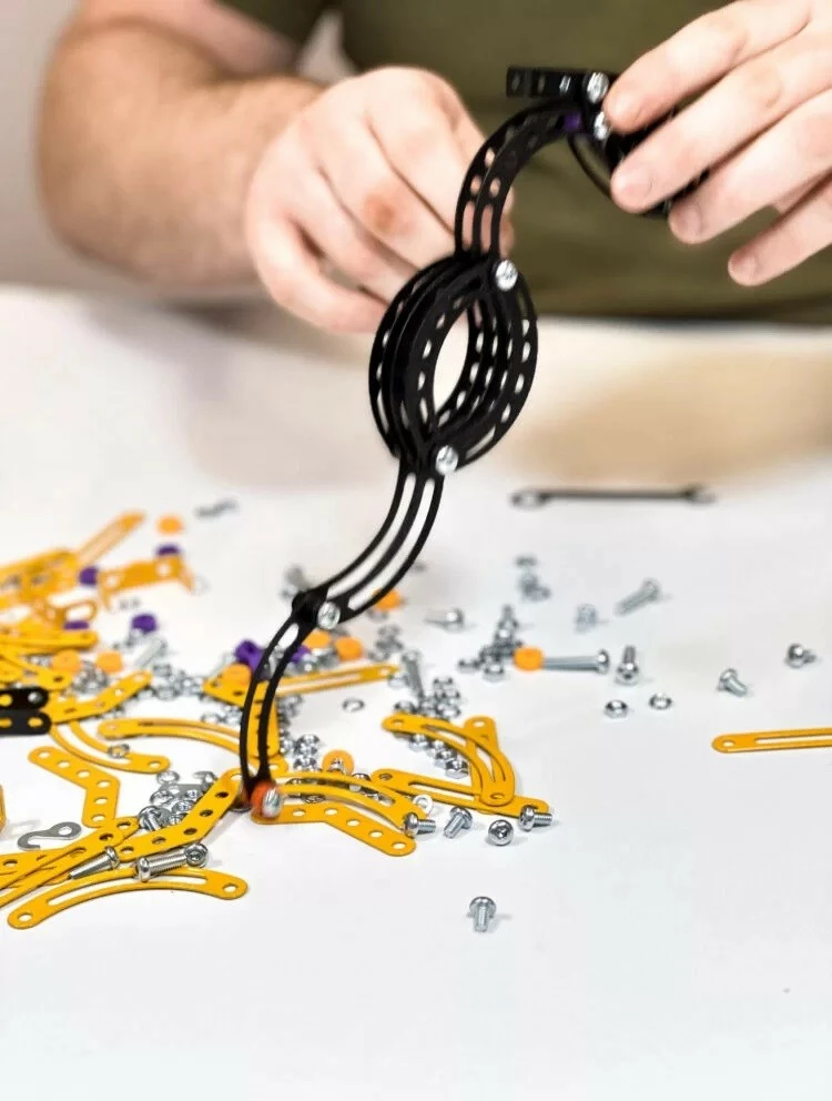 Set ndërtimi metalik Alexander Small Constructor Pterodactyl, 202 pjesë