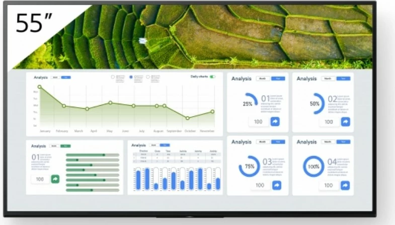 Ekran i madh Sony FW-55BZ30L, 55 inç, 4K Ultra HD, LCD, Wi-Fi, Chromecast